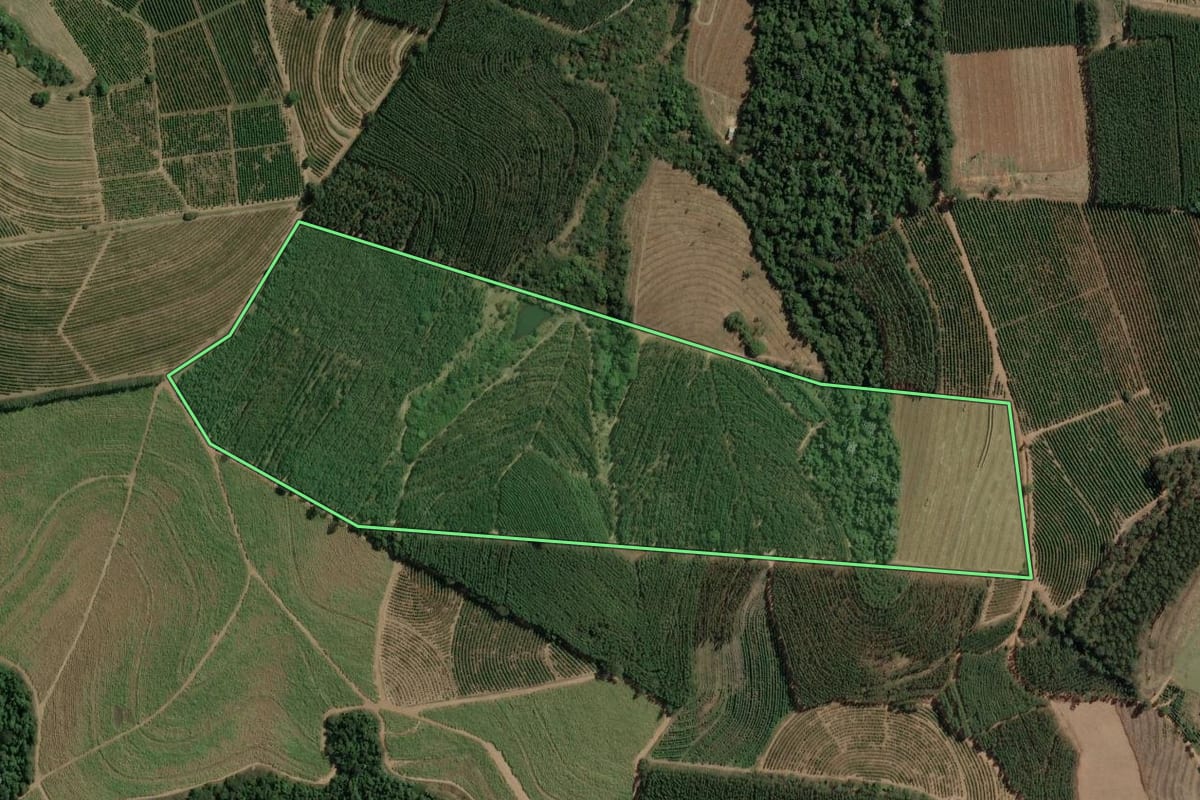 Imagem de satélite do imóvel rural em Torrinha (SP), com o contorno declarado no CAR desenhado por cima.