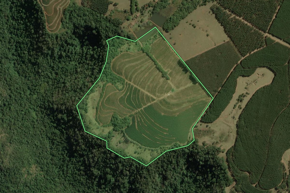 Imagem de satélite do imóvel rural em Torrinha (SP), com o contorno declarado no CAR desenhado por cima.