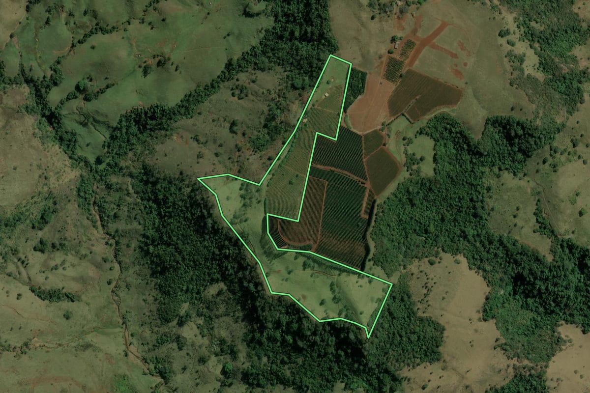 Imagem de satélite do imóvel rural em Torrinha (SP), com o contorno declarado no CAR desenhado por cima.
