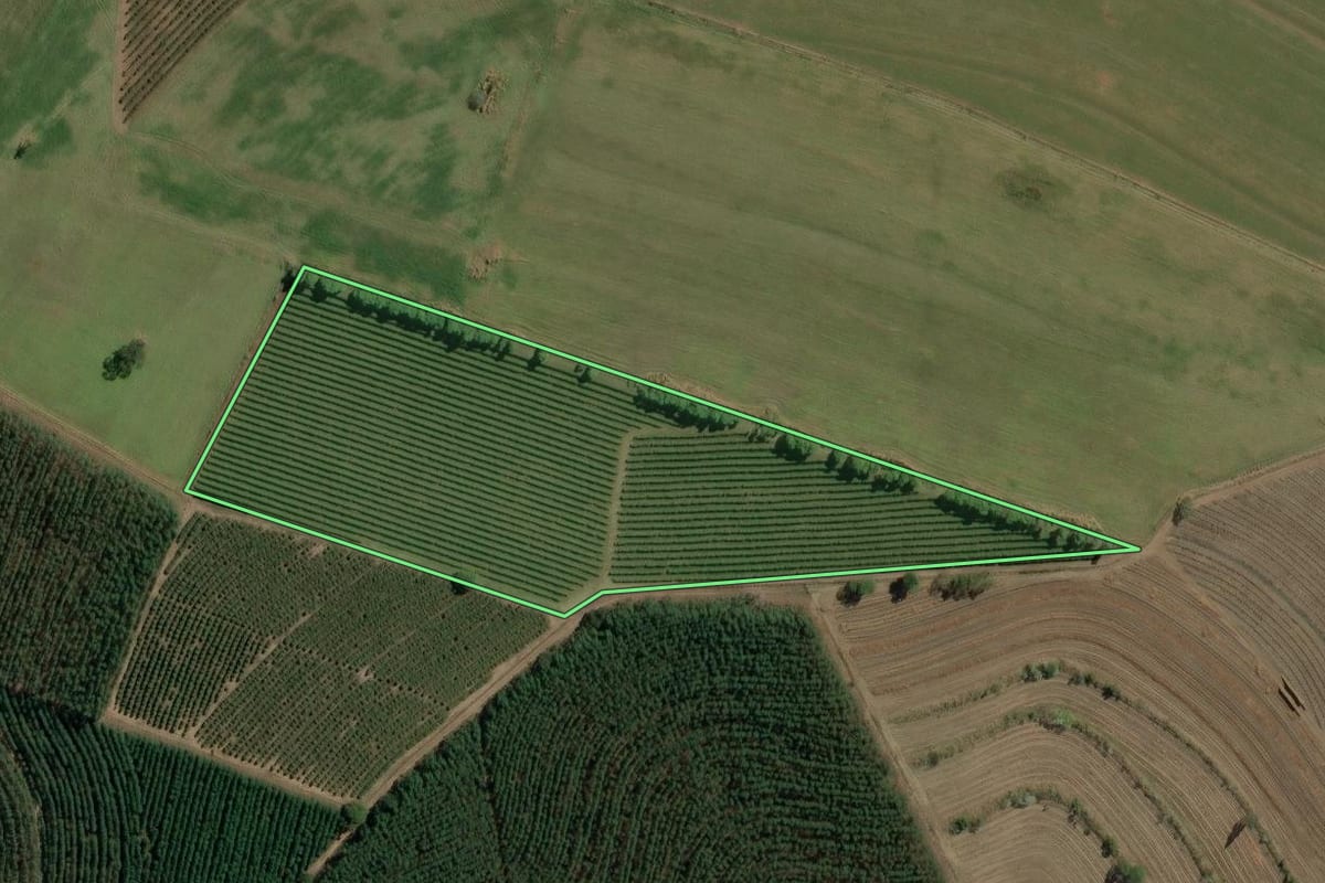 Imagem de satélite do imóvel rural em Torrinha (SP), com o contorno declarado no CAR desenhado por cima.