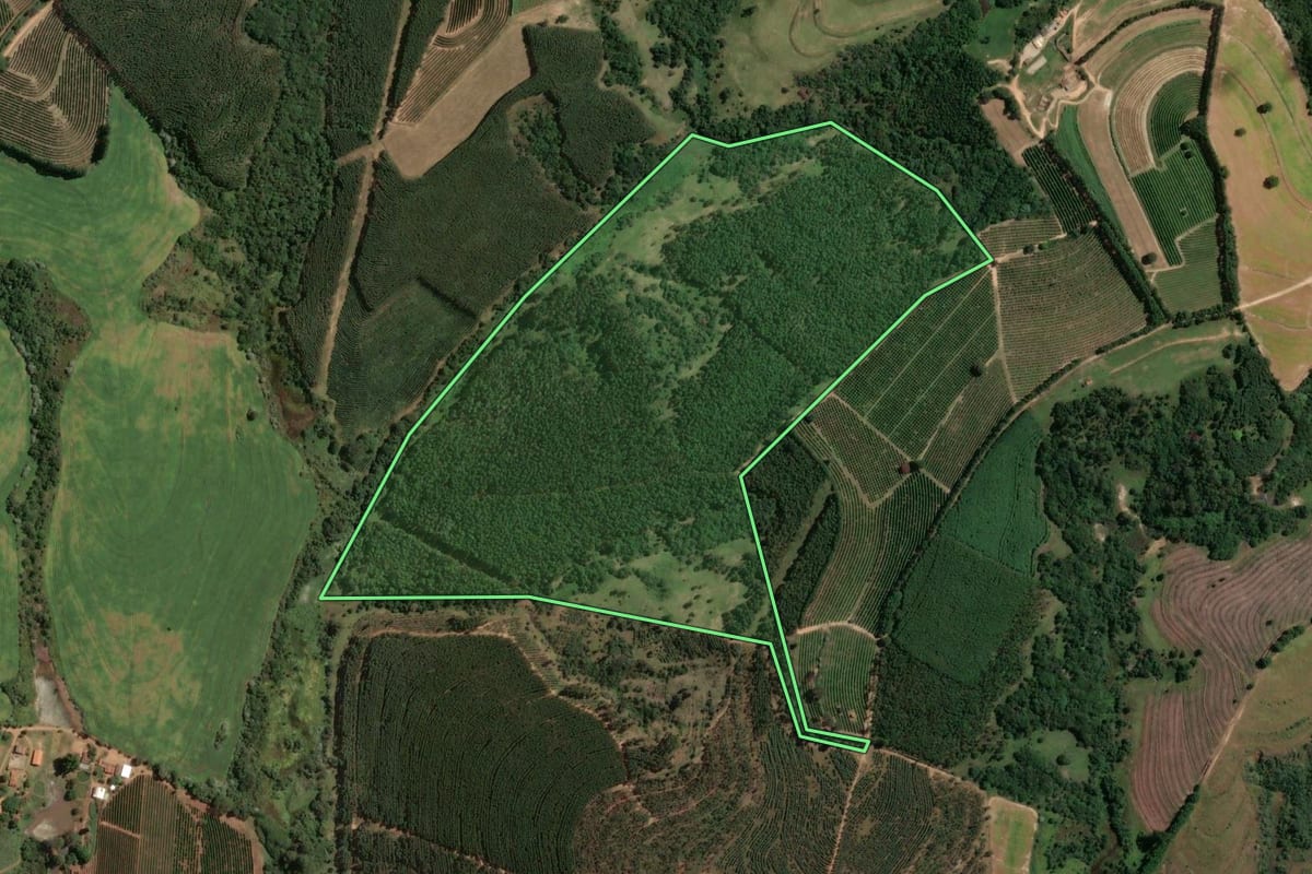 Imagem de satélite do imóvel rural em Torrinha (SP), com o contorno declarado no CAR desenhado por cima.