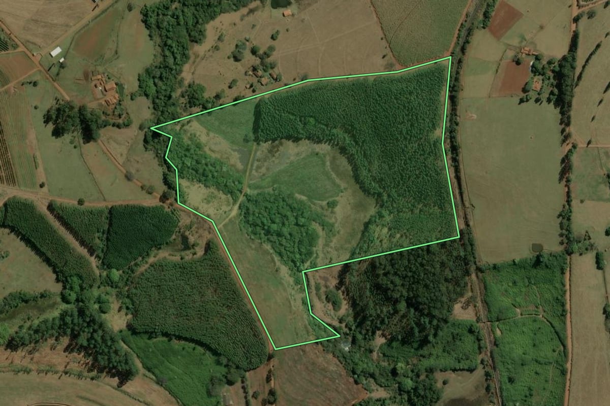 Imagem de satélite do imóvel rural em Torrinha (SP), com o contorno declarado no CAR desenhado por cima.