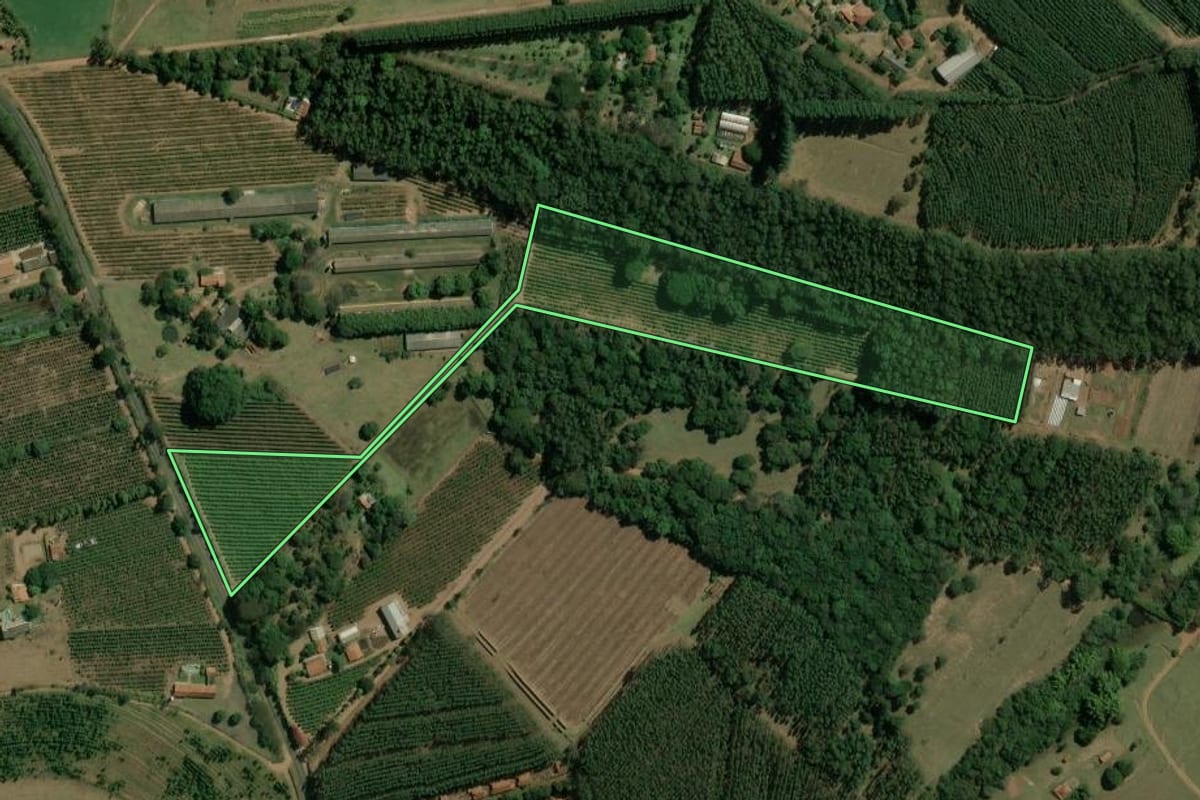 Imagem de satélite do imóvel rural em Torrinha (SP), com o contorno declarado no CAR desenhado por cima.