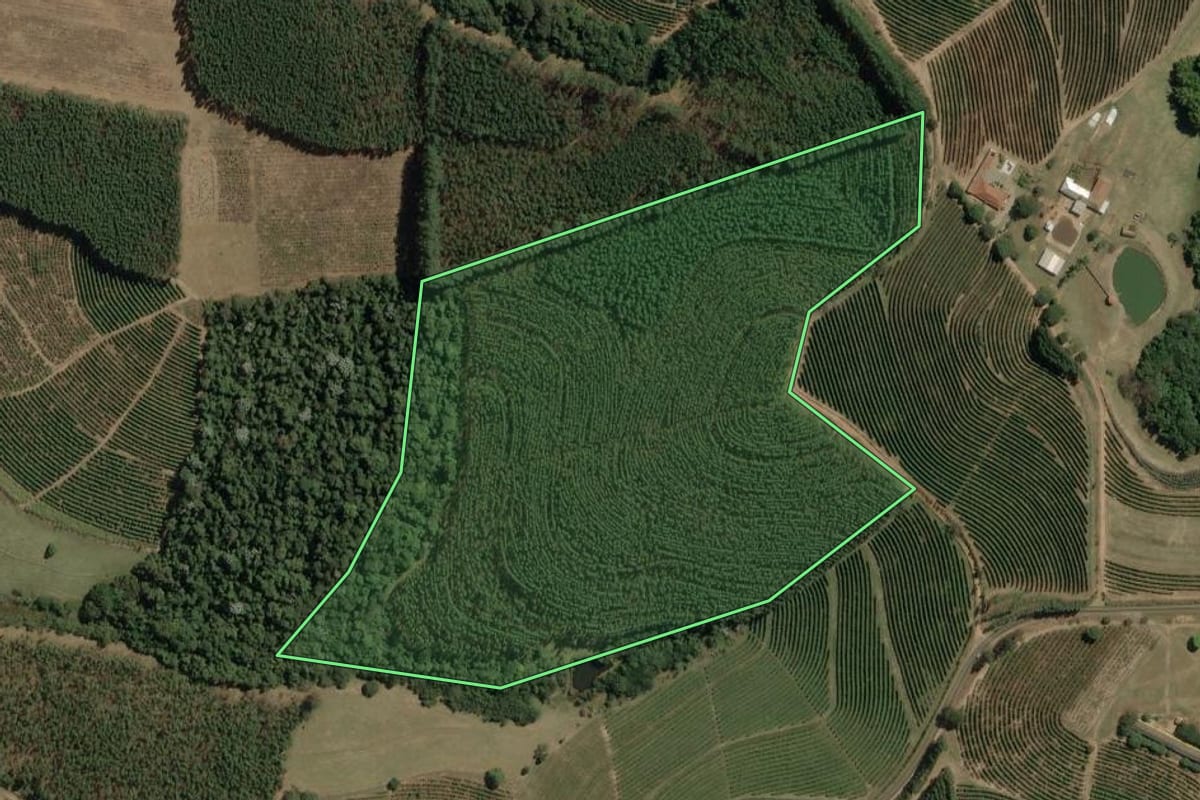 Imagem de satélite do imóvel rural em Torrinha (SP), com o contorno declarado no CAR desenhado por cima.