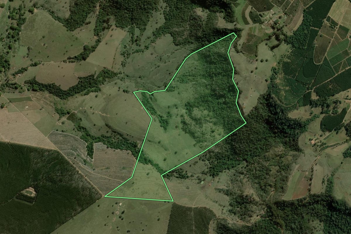 Imagem de satélite do imóvel rural em Torrinha (SP), com o contorno declarado no CAR desenhado por cima.