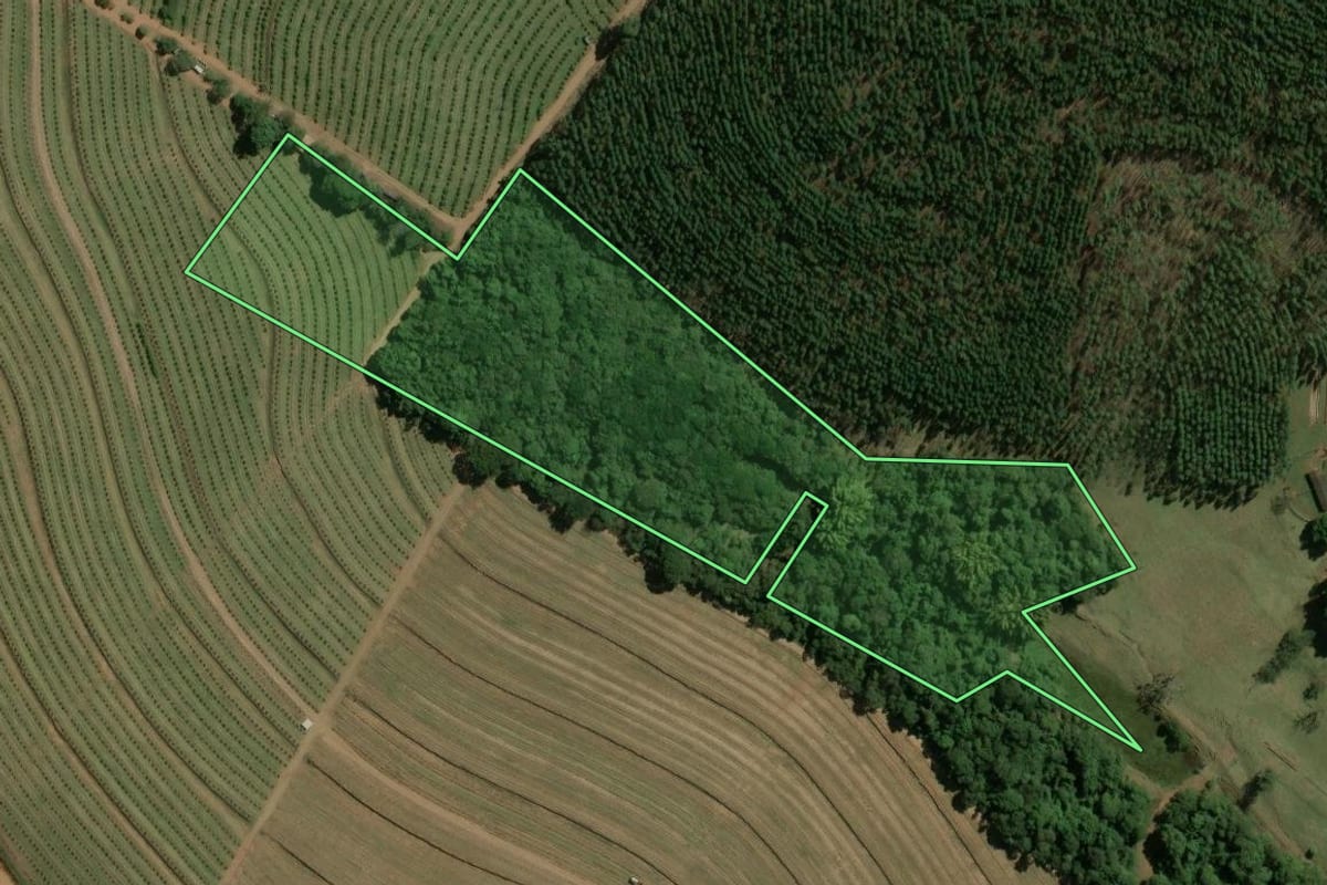 Imagem de satélite do imóvel rural em Torrinha (SP), com o contorno declarado no CAR desenhado por cima.