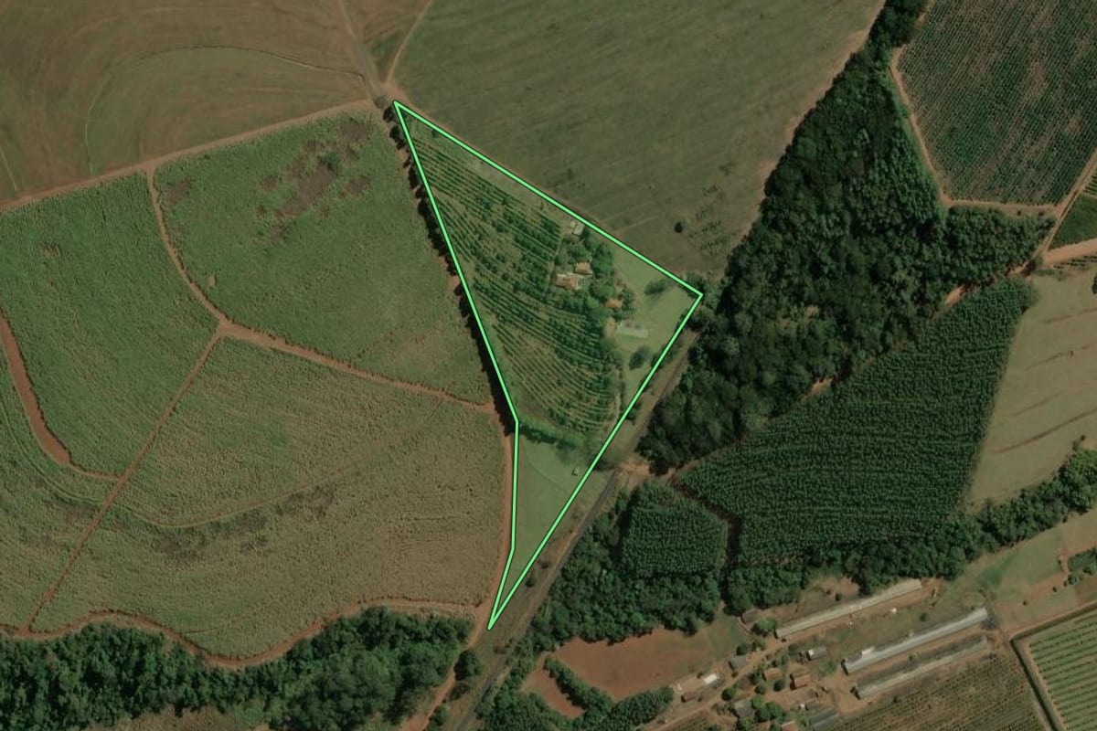 Imagem de satélite do imóvel rural em Torrinha (SP), com o contorno declarado no CAR desenhado por cima.