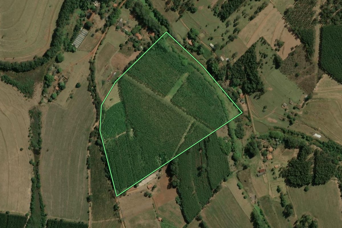 Imagem de satélite do imóvel rural em Torrinha (SP), com o contorno declarado no CAR desenhado por cima.