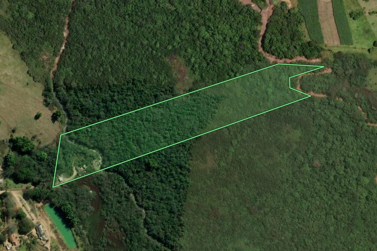 Imagem de satélite do imóvel rural em Tremembé (SP), com o contorno declarado no CAR desenhado por cima.
