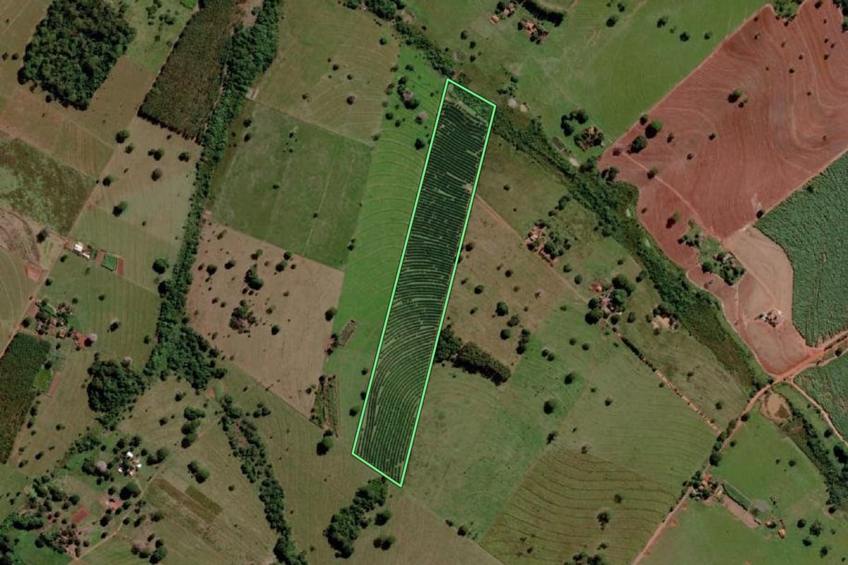 Imagem de satélite do imóvel rural em Três Fronteiras (SP), com o contorno declarado no CAR desenhado por cima.