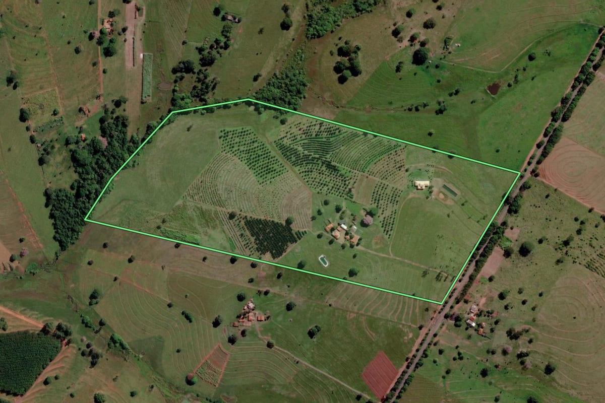 Imagem de satélite do imóvel rural em Três Fronteiras (SP), com o contorno declarado no CAR desenhado por cima.