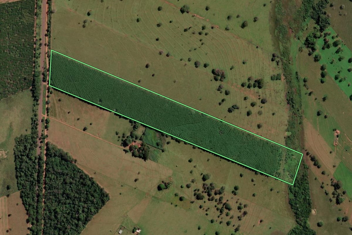 Imagem de satélite do imóvel rural em Três Fronteiras (SP), com o contorno declarado no CAR desenhado por cima.