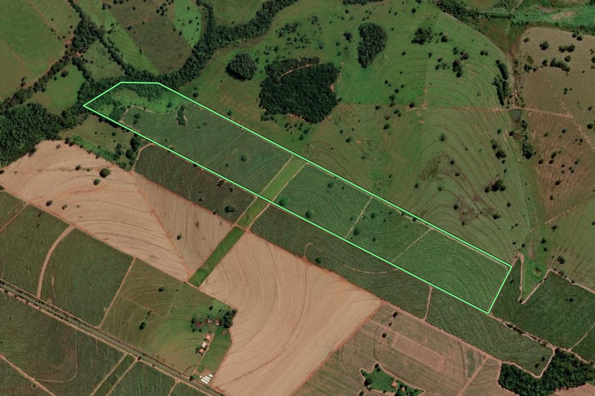 Imagem de satélite do imóvel rural em Três Fronteiras (SP), com o contorno declarado no CAR desenhado por cima.