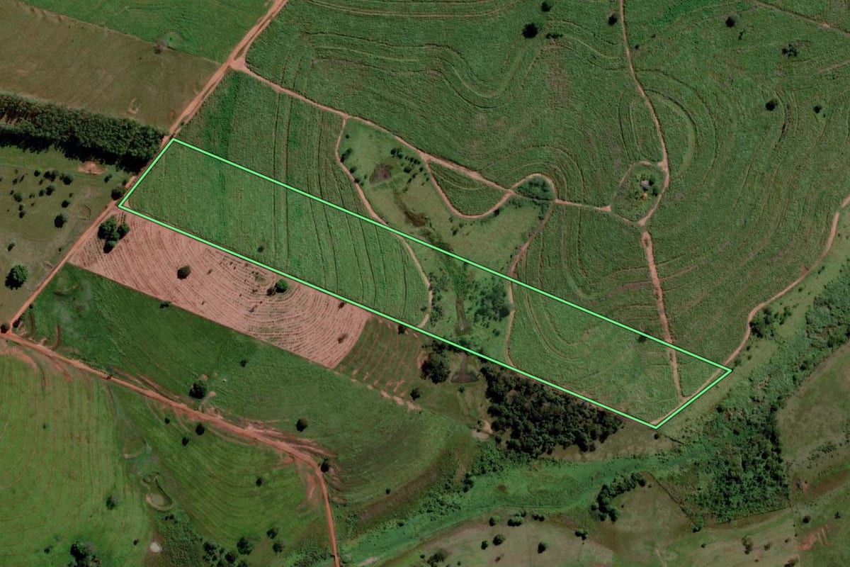 Imagem de satélite do imóvel rural em Três Fronteiras (SP), com o contorno declarado no CAR desenhado por cima.