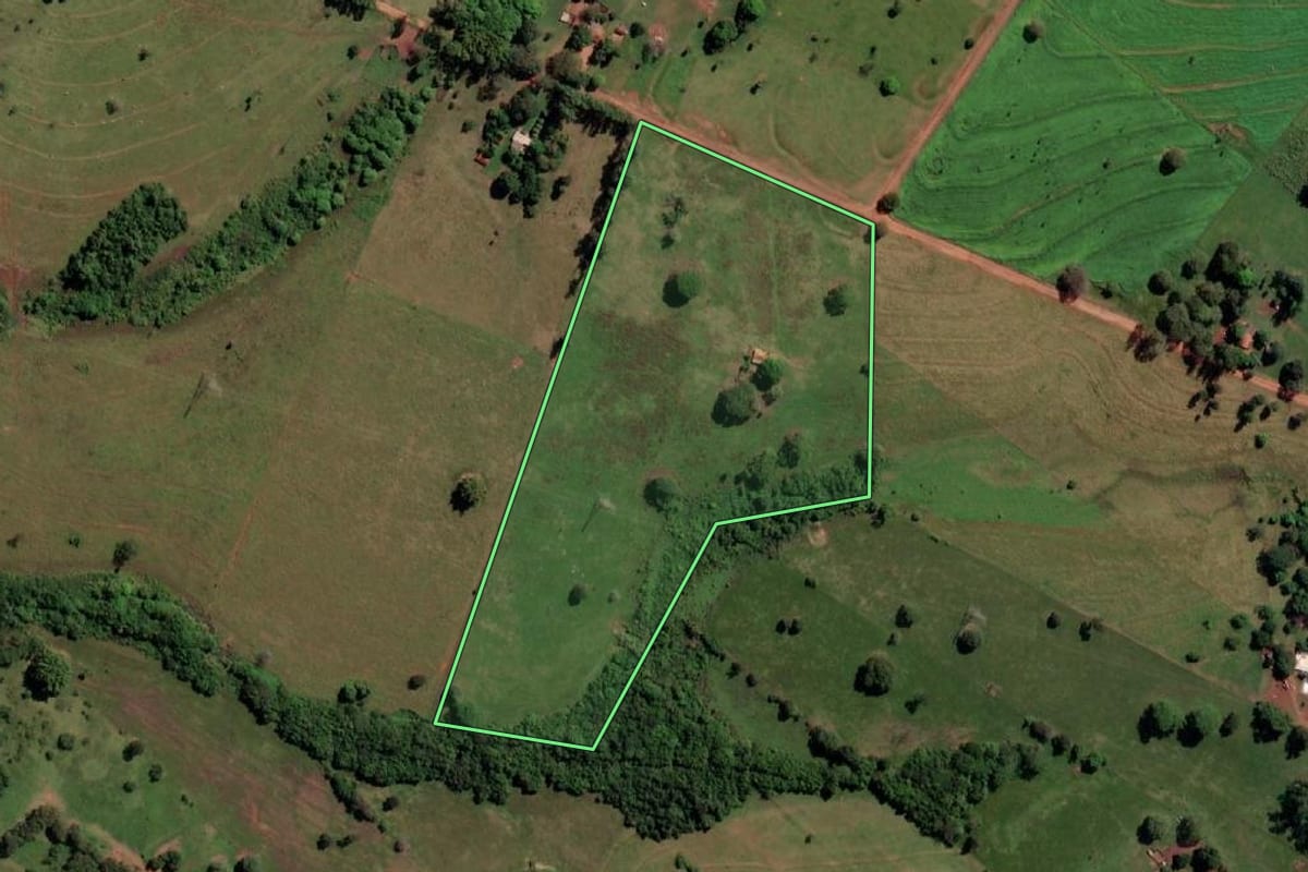 Imagem de satélite do imóvel rural em Três Fronteiras (SP), com o contorno declarado no CAR desenhado por cima.