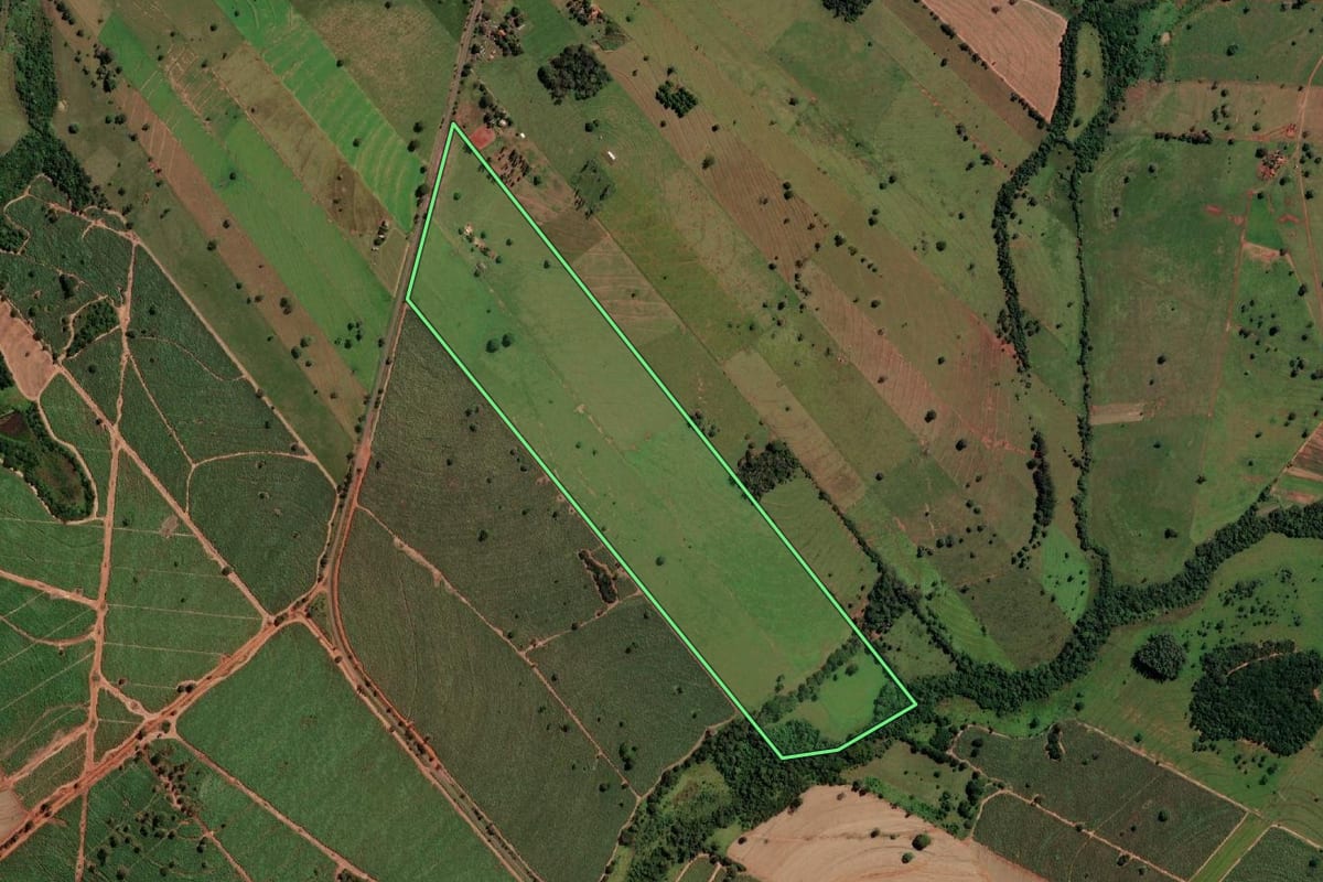 Imagem de satélite do imóvel rural em Três Fronteiras (SP), com o contorno declarado no CAR desenhado por cima.