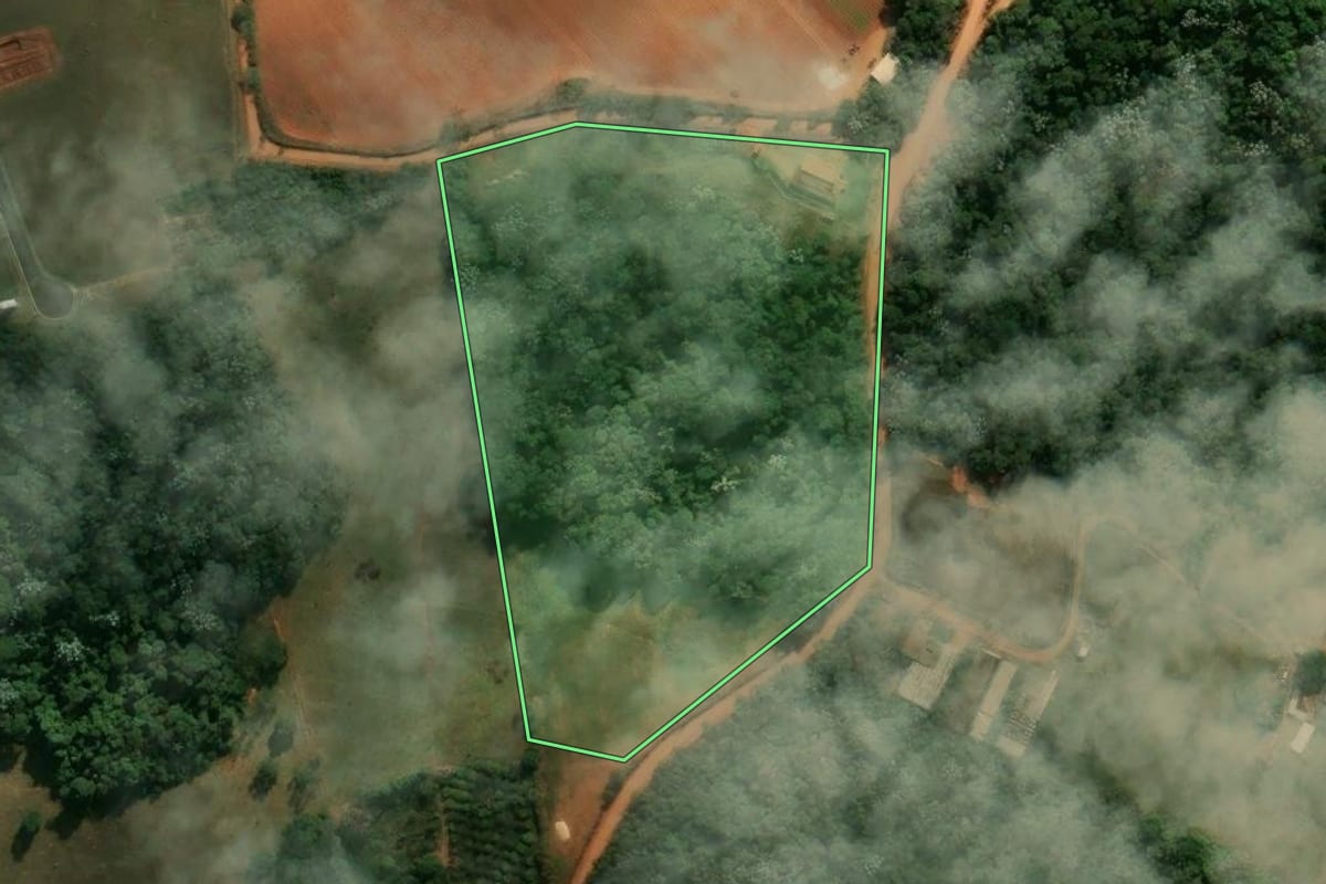 Imagem de satélite do imóvel rural em Tuiuti (SP), com o contorno declarado no CAR desenhado por cima.