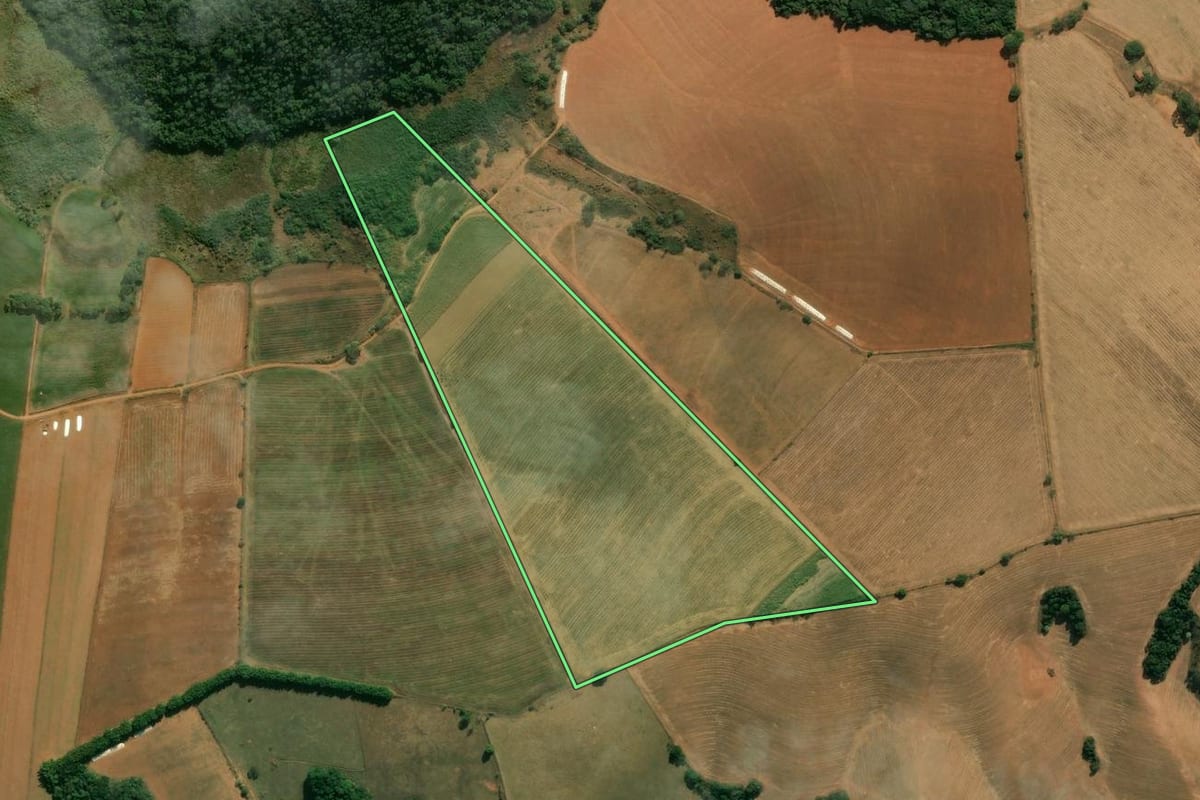 Imagem de satélite do imóvel rural em Tuiuti (SP), com o contorno declarado no CAR desenhado por cima.