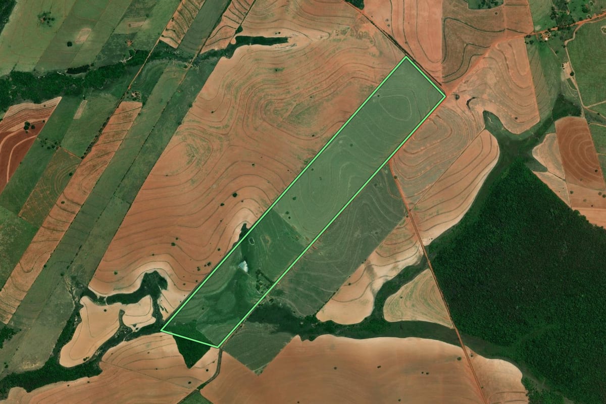 Imagem de satélite do imóvel rural em Tupã (SP), com o contorno declarado no CAR desenhado por cima.