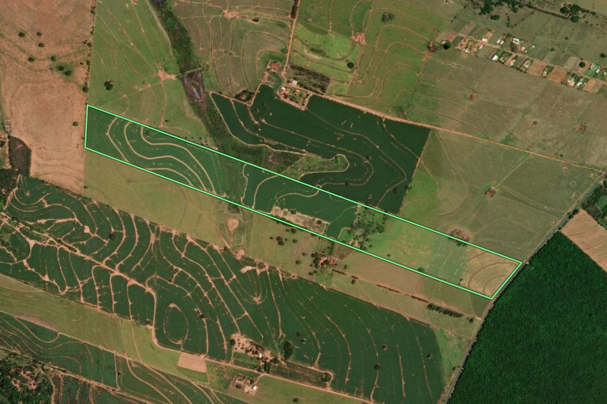 Imagem de satélite do imóvel rural em Tupã (SP), com o contorno declarado no CAR desenhado por cima.