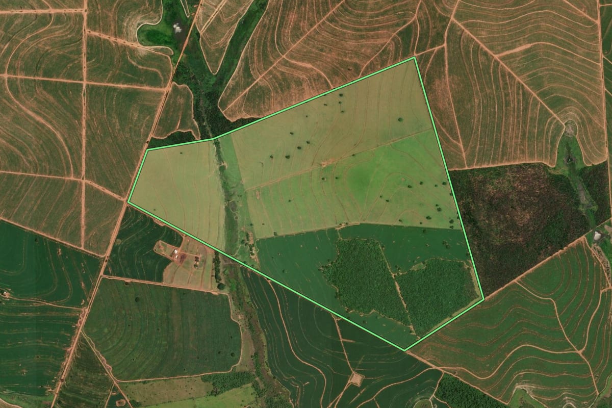 Imagem de satélite do imóvel rural em Tupã (SP), com o contorno declarado no CAR desenhado por cima.