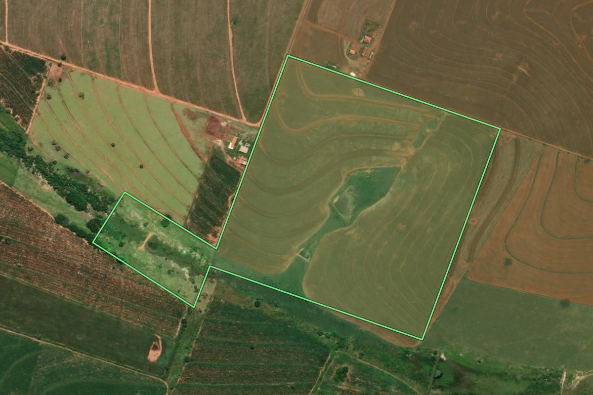 Imagem de satélite do imóvel rural em Tupã (SP), com o contorno declarado no CAR desenhado por cima.