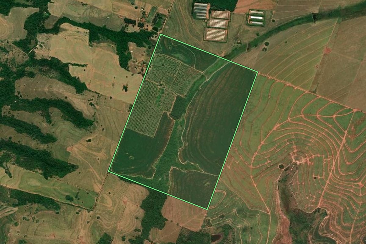Imagem de satélite do imóvel rural em Tupã (SP), com o contorno declarado no CAR desenhado por cima.