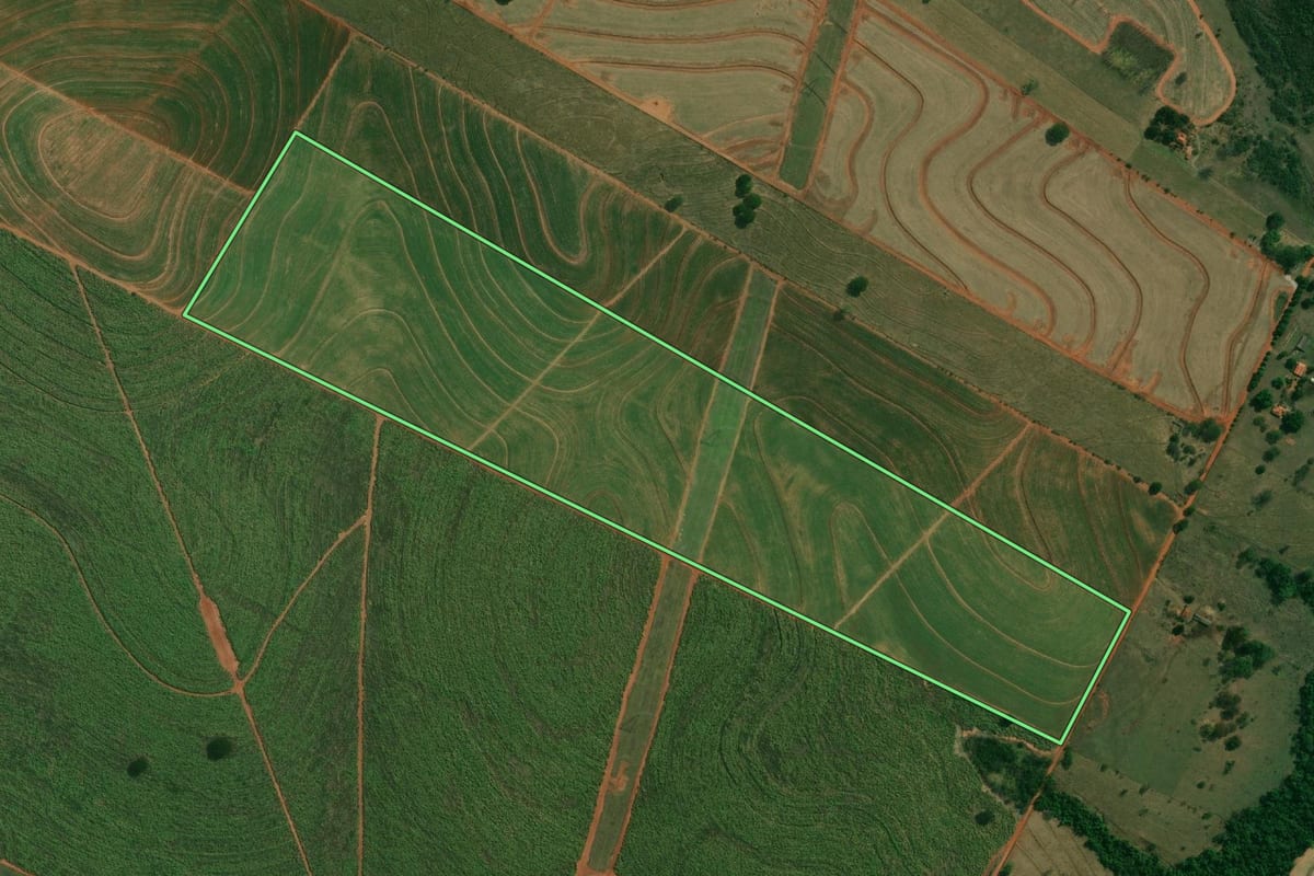 Imagem de satélite do imóvel rural em Tupi Paulista (SP), com o contorno declarado no CAR desenhado por cima.
