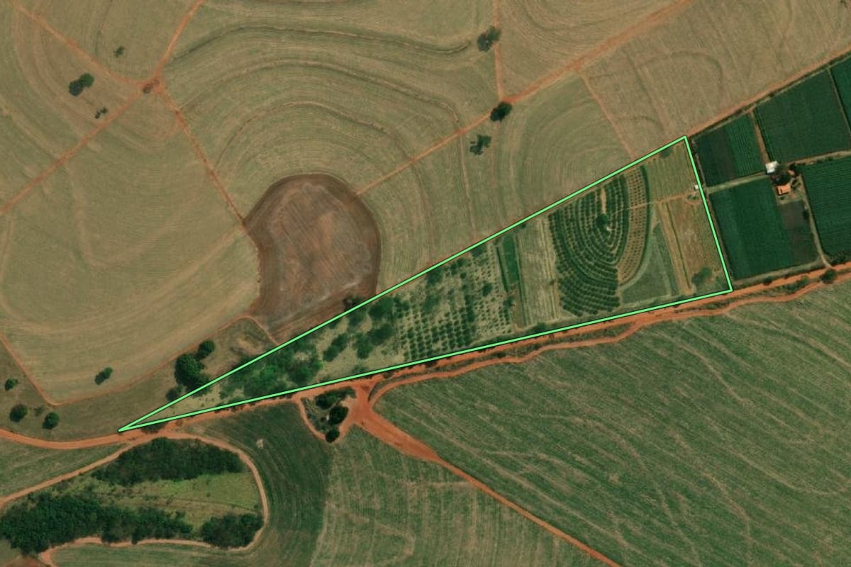 Imagem de satélite do imóvel rural em Tupi Paulista (SP), com o contorno declarado no CAR desenhado por cima.