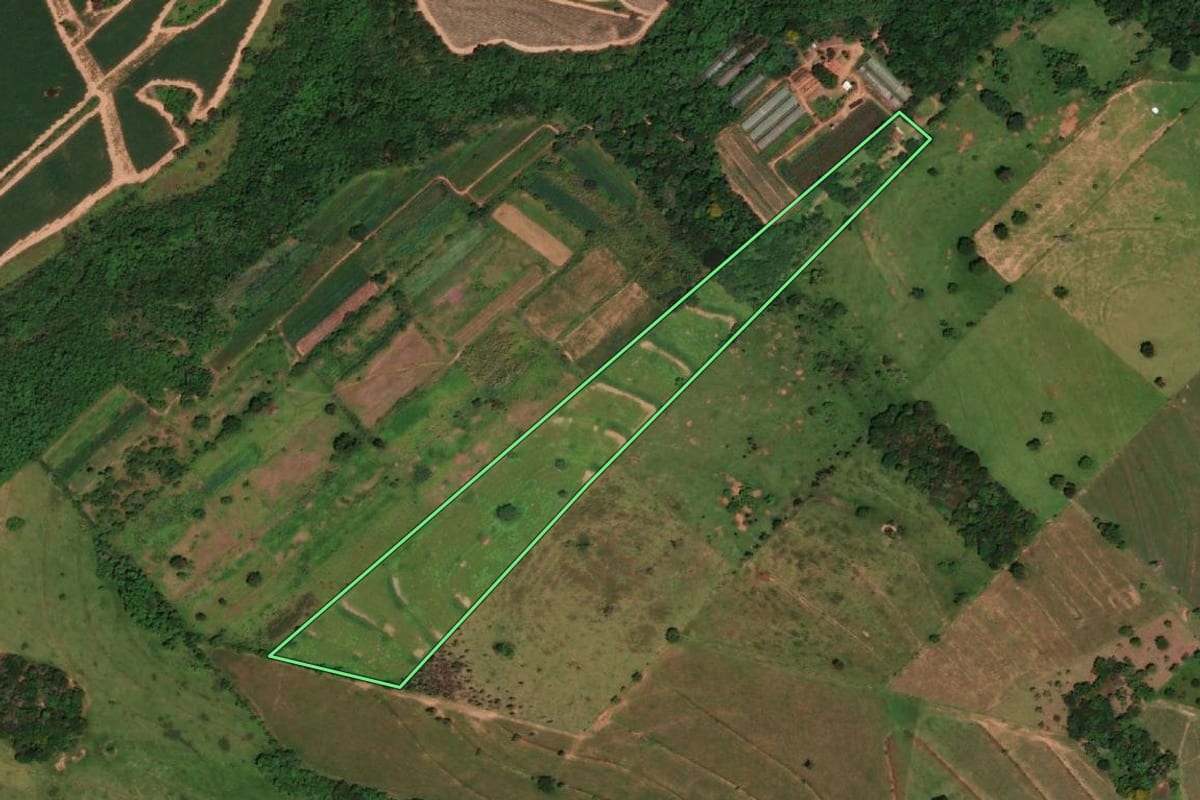 Imagem de satélite do imóvel rural em Tupi Paulista (SP), com o contorno declarado no CAR desenhado por cima.