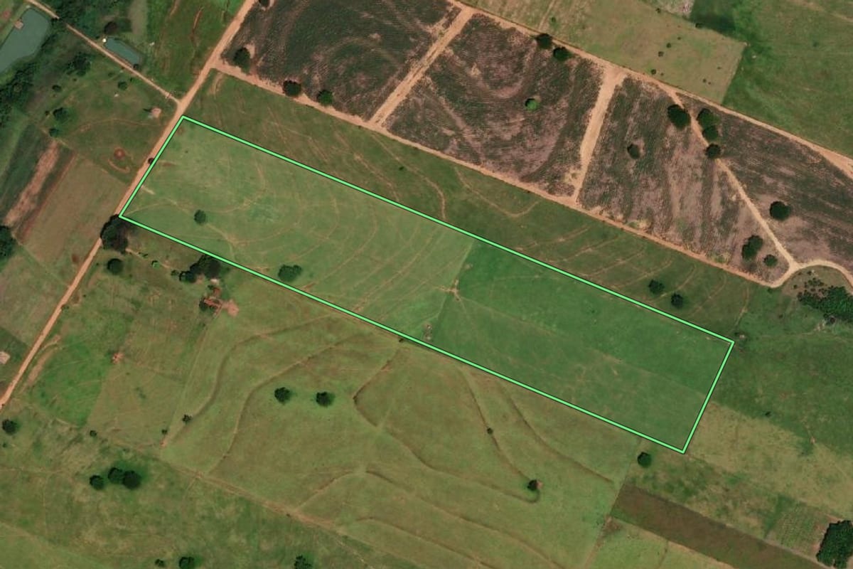 Imagem de satélite do imóvel rural em Tupi Paulista (SP), com o contorno declarado no CAR desenhado por cima.