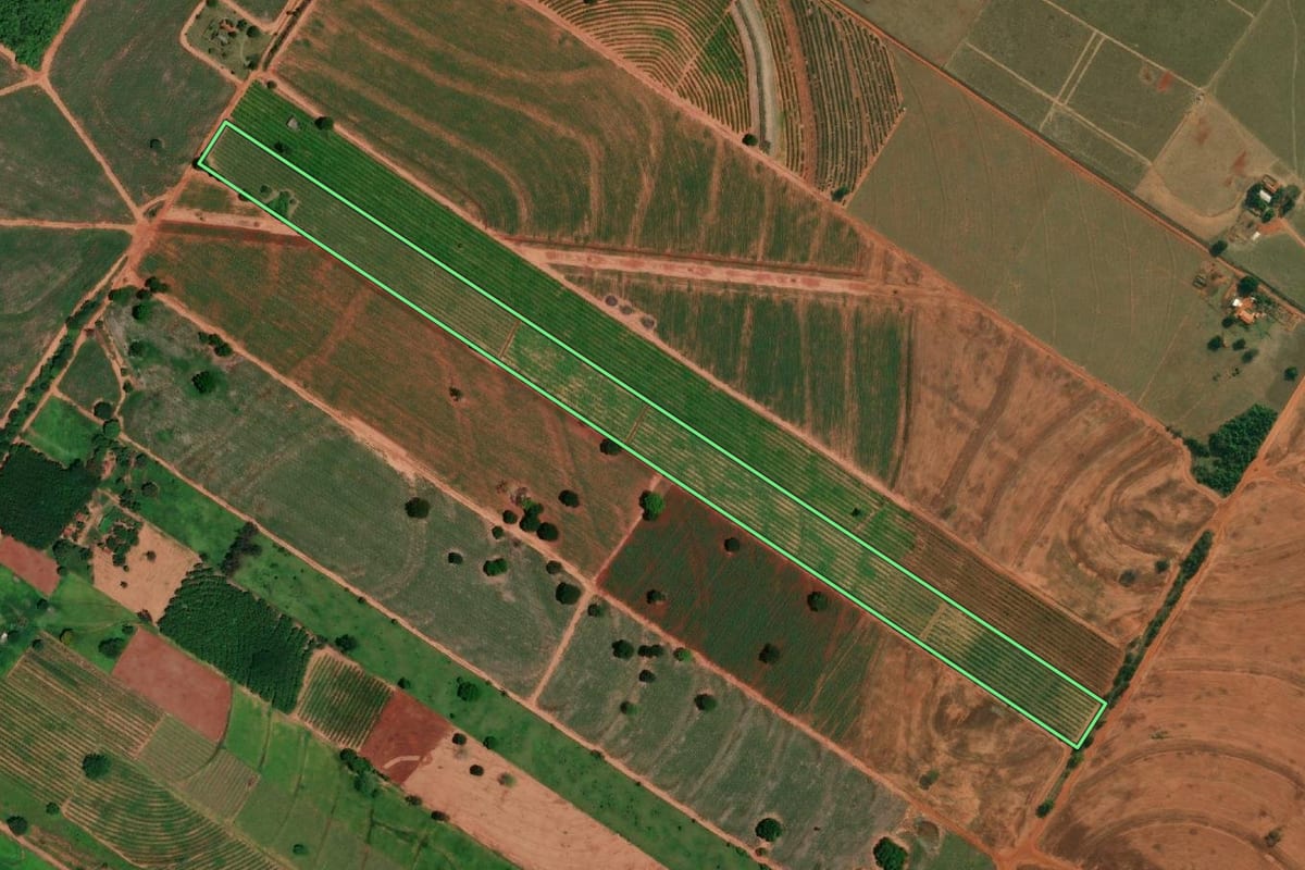 Imagem de satélite do imóvel rural em Tupi Paulista (SP), com o contorno declarado no CAR desenhado por cima.