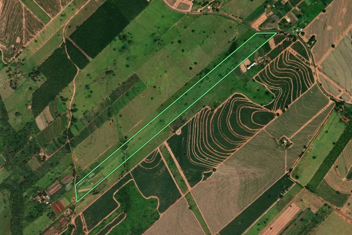 Imagem de satélite do imóvel rural em Tupi Paulista (SP), com o contorno declarado no CAR desenhado por cima.