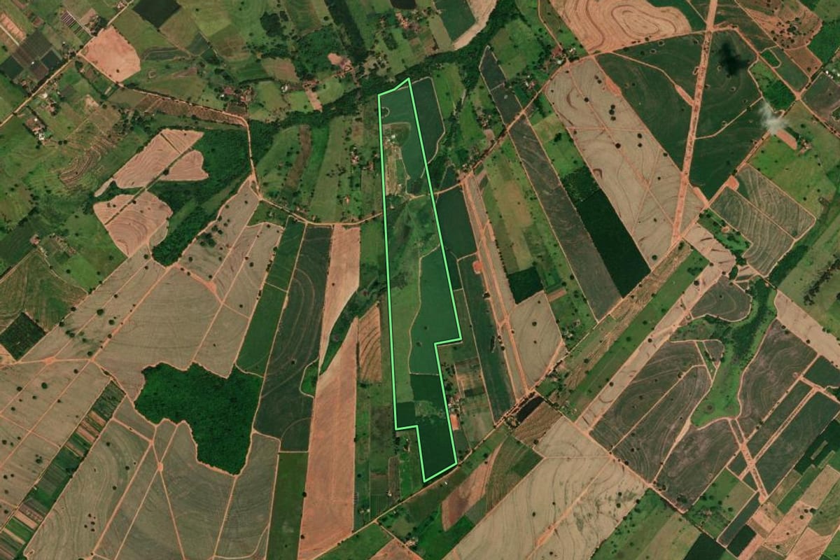 Imagem de satélite do imóvel rural em Tupi Paulista (SP), com o contorno declarado no CAR desenhado por cima.