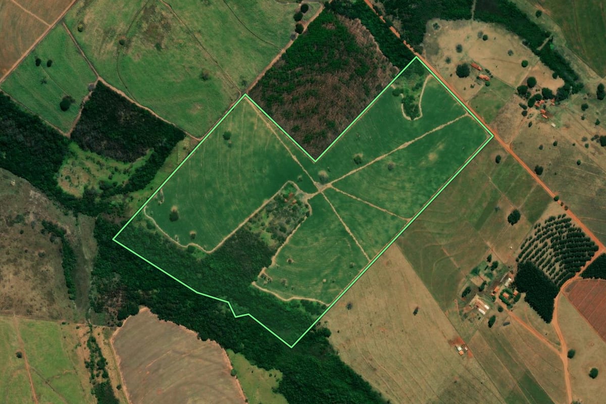 Imagem de satélite do imóvel rural em Turiúba (SP), com o contorno declarado no CAR desenhado por cima.