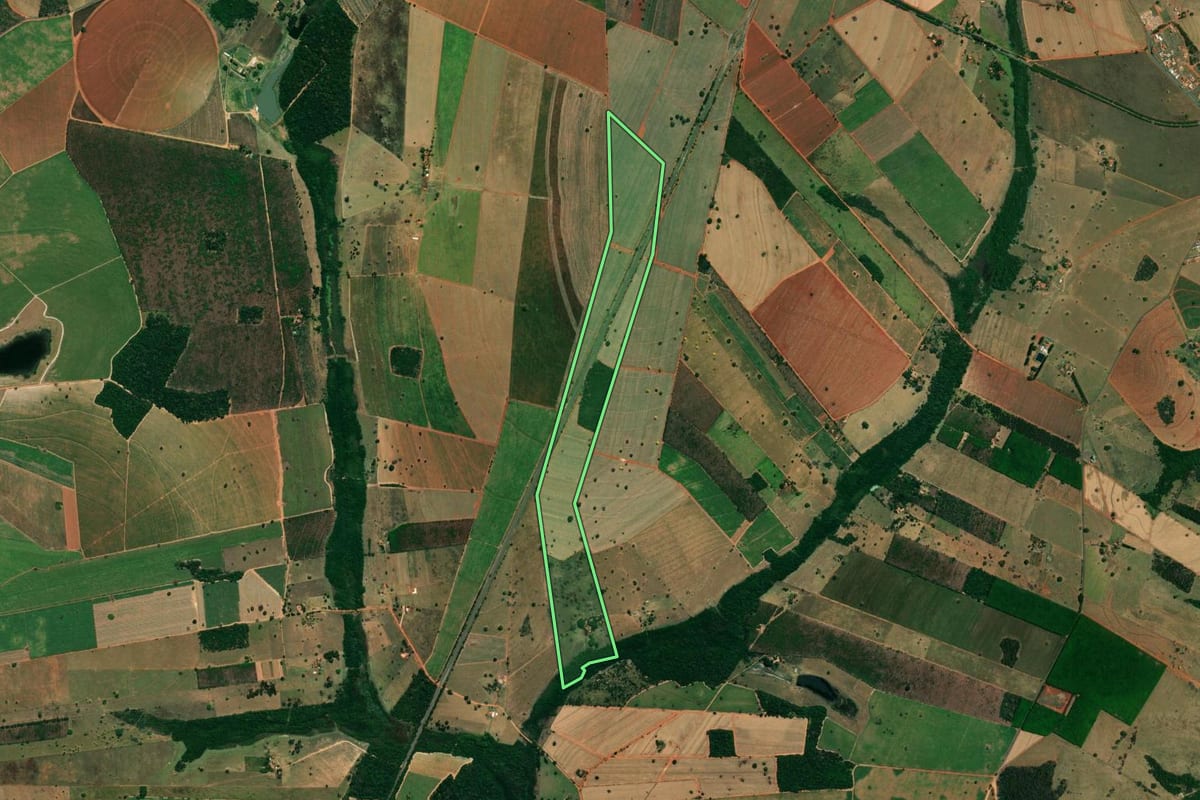 Imagem de satélite do imóvel rural em Turiúba (SP), com o contorno declarado no CAR desenhado por cima.