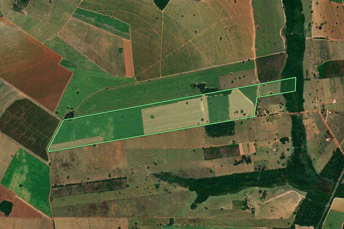 Imagem de satélite do imóvel rural em Turiúba (SP), com o contorno declarado no CAR desenhado por cima.