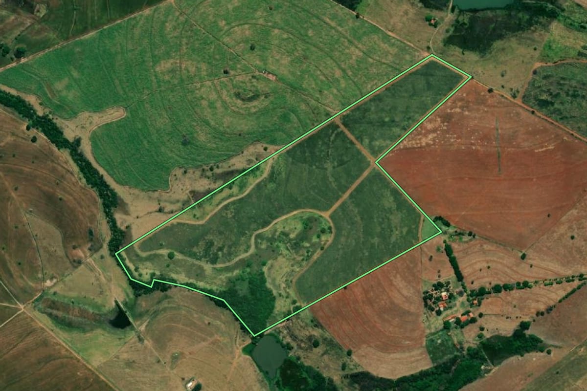 Imagem de satélite do imóvel rural em Turiúba (SP), com o contorno declarado no CAR desenhado por cima.