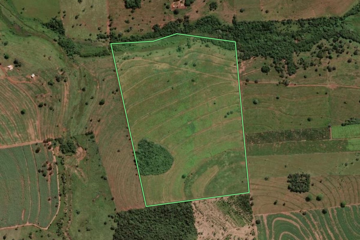 Imagem de satélite do imóvel rural em Turmalina (SP), com o contorno declarado no CAR desenhado por cima.