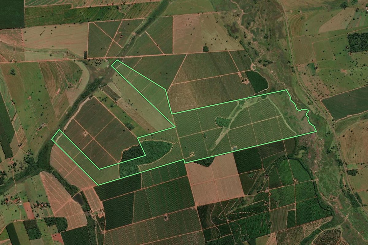 Imagem de satélite do imóvel rural em Turmalina (SP), com o contorno declarado no CAR desenhado por cima.