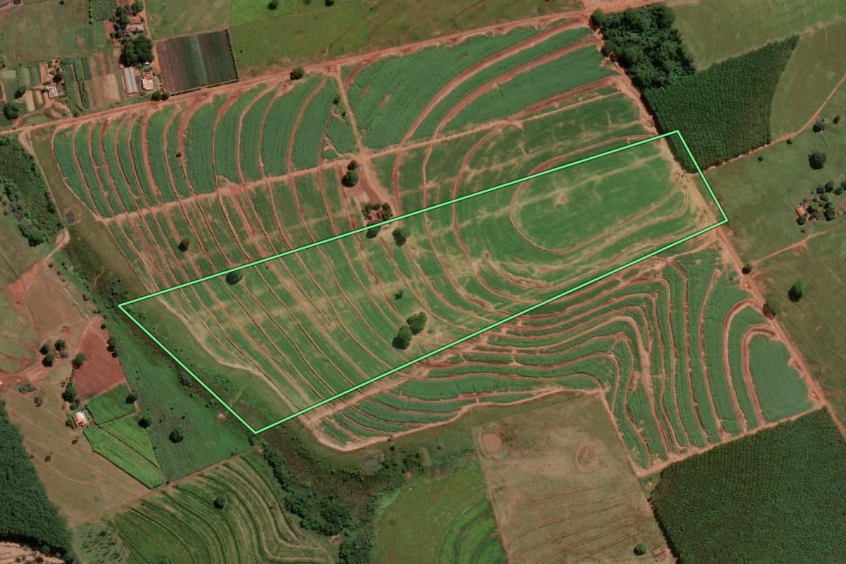 Imagem de satélite do imóvel rural em Turmalina (SP), com o contorno declarado no CAR desenhado por cima.