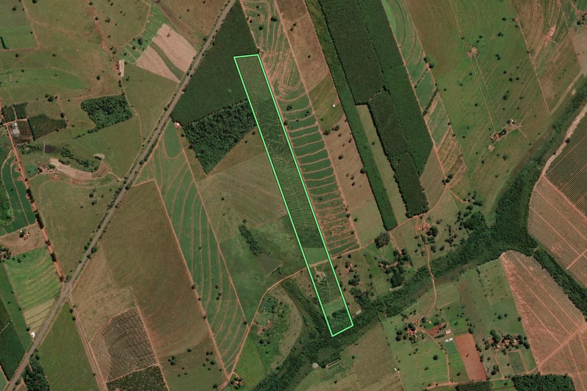 Imagem de satélite do imóvel rural em Turmalina (SP), com o contorno declarado no CAR desenhado por cima.