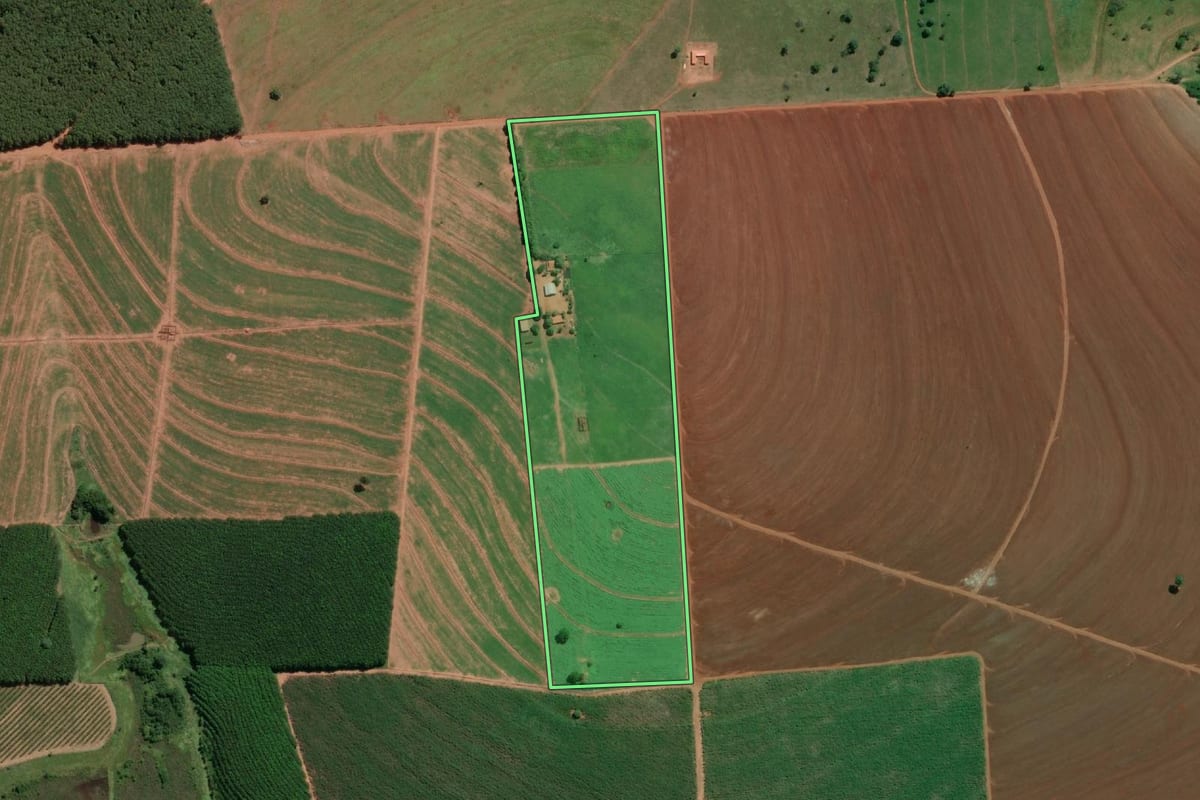Imagem de satélite do imóvel rural em Turmalina (SP), com o contorno declarado no CAR desenhado por cima.