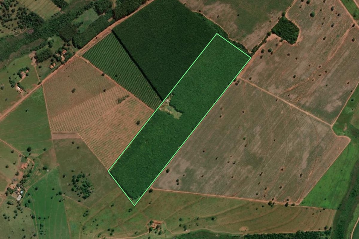 Imagem de satélite do imóvel rural em Turmalina (SP), com o contorno declarado no CAR desenhado por cima.