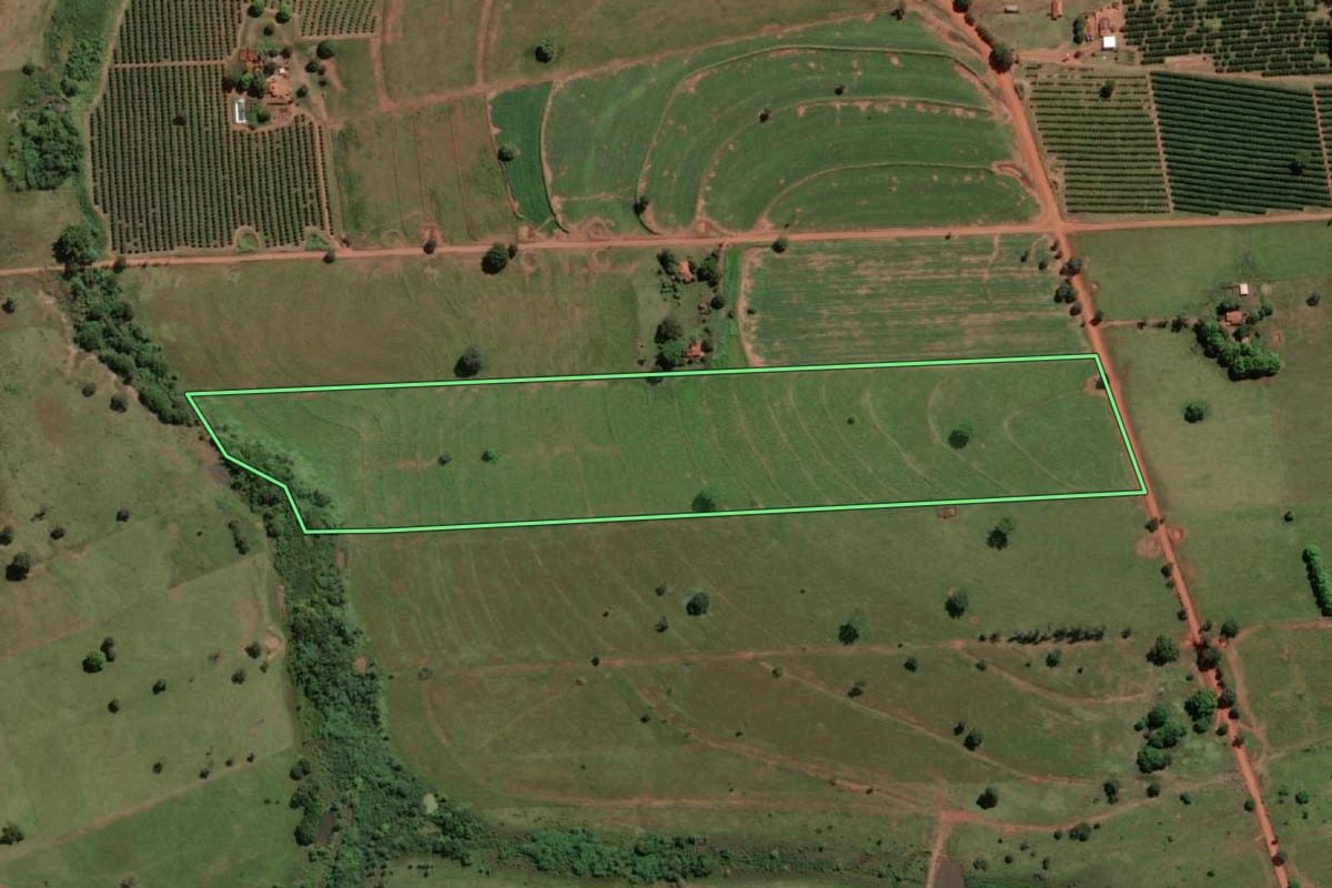 Imagem de satélite do imóvel rural em Turmalina (SP), com o contorno declarado no CAR desenhado por cima.