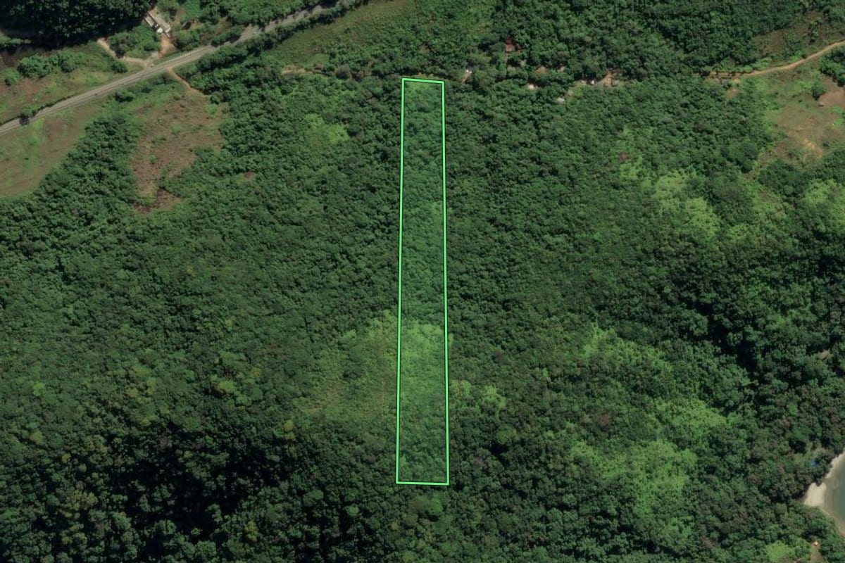 Imagem de satélite do imóvel rural em Ubatuba (SP), com o contorno declarado no CAR desenhado por cima.