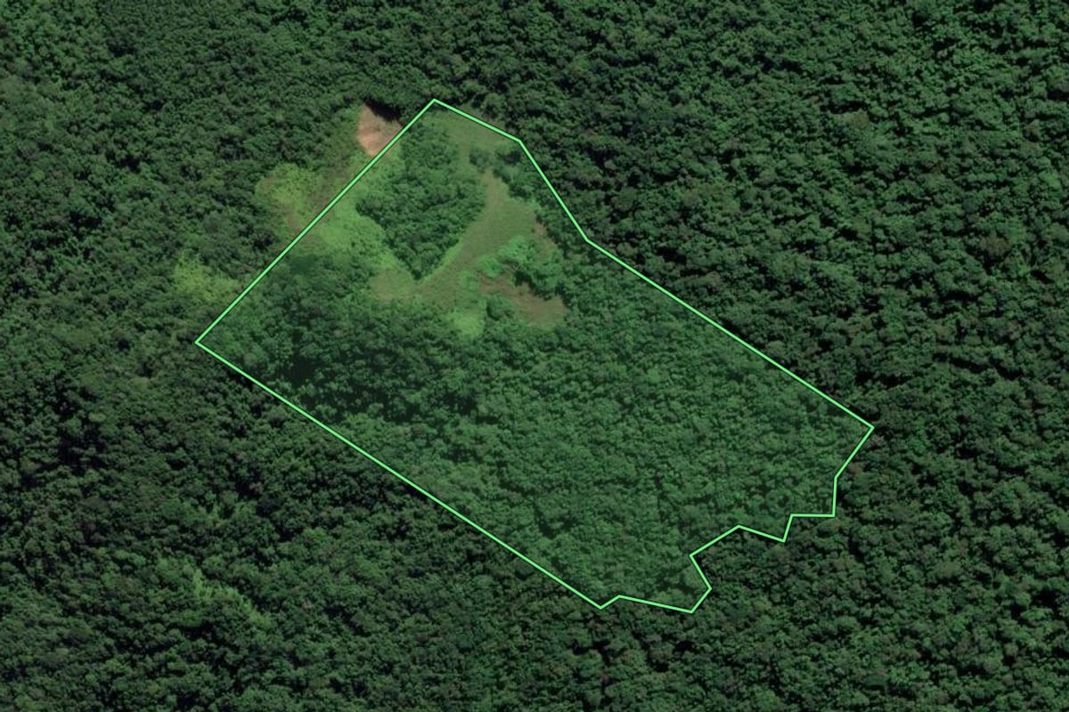 Imagem de satélite do imóvel rural em Ubatuba (SP), com o contorno declarado no CAR desenhado por cima.