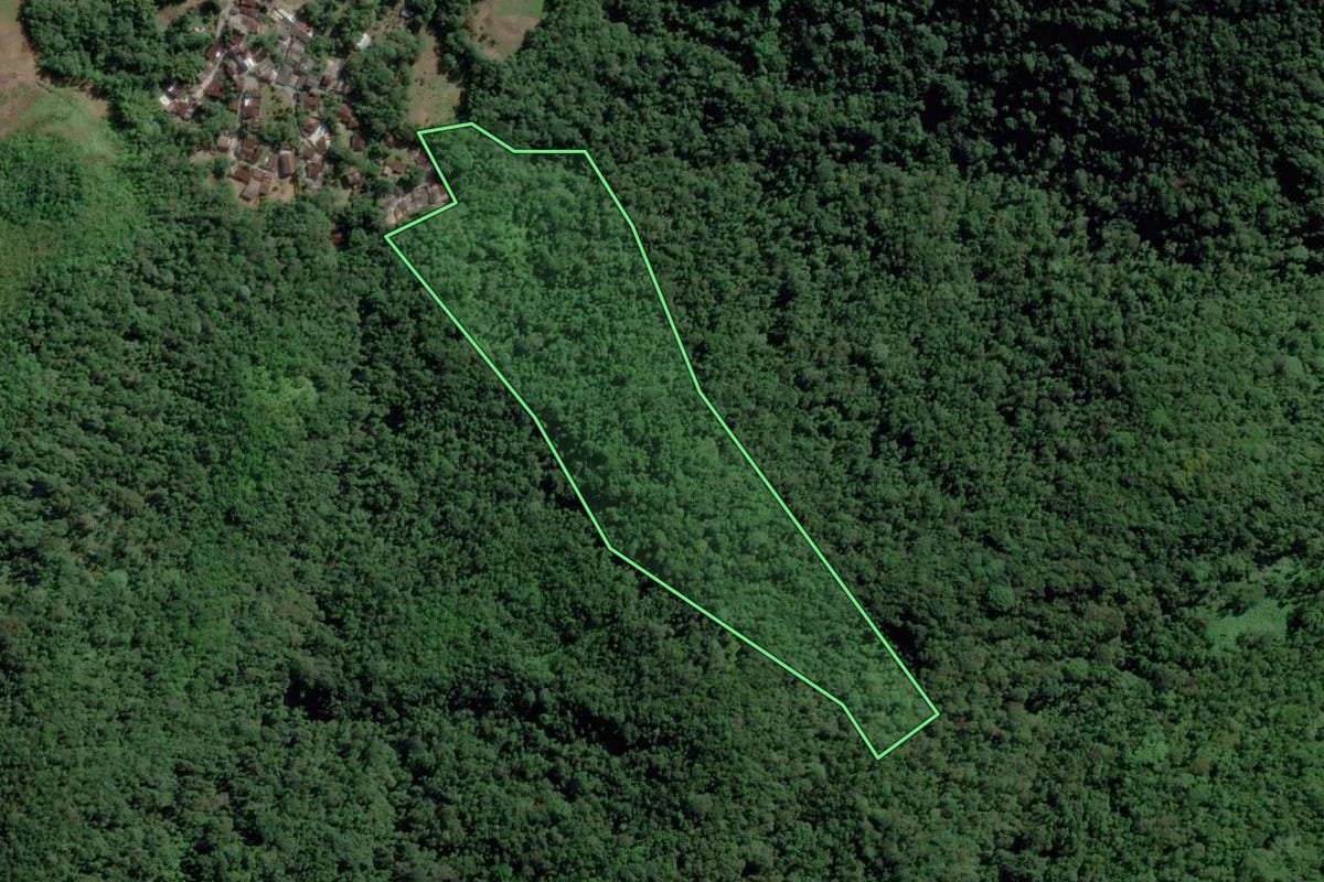Imagem de satélite do imóvel rural em Ubatuba (SP), com o contorno declarado no CAR desenhado por cima.