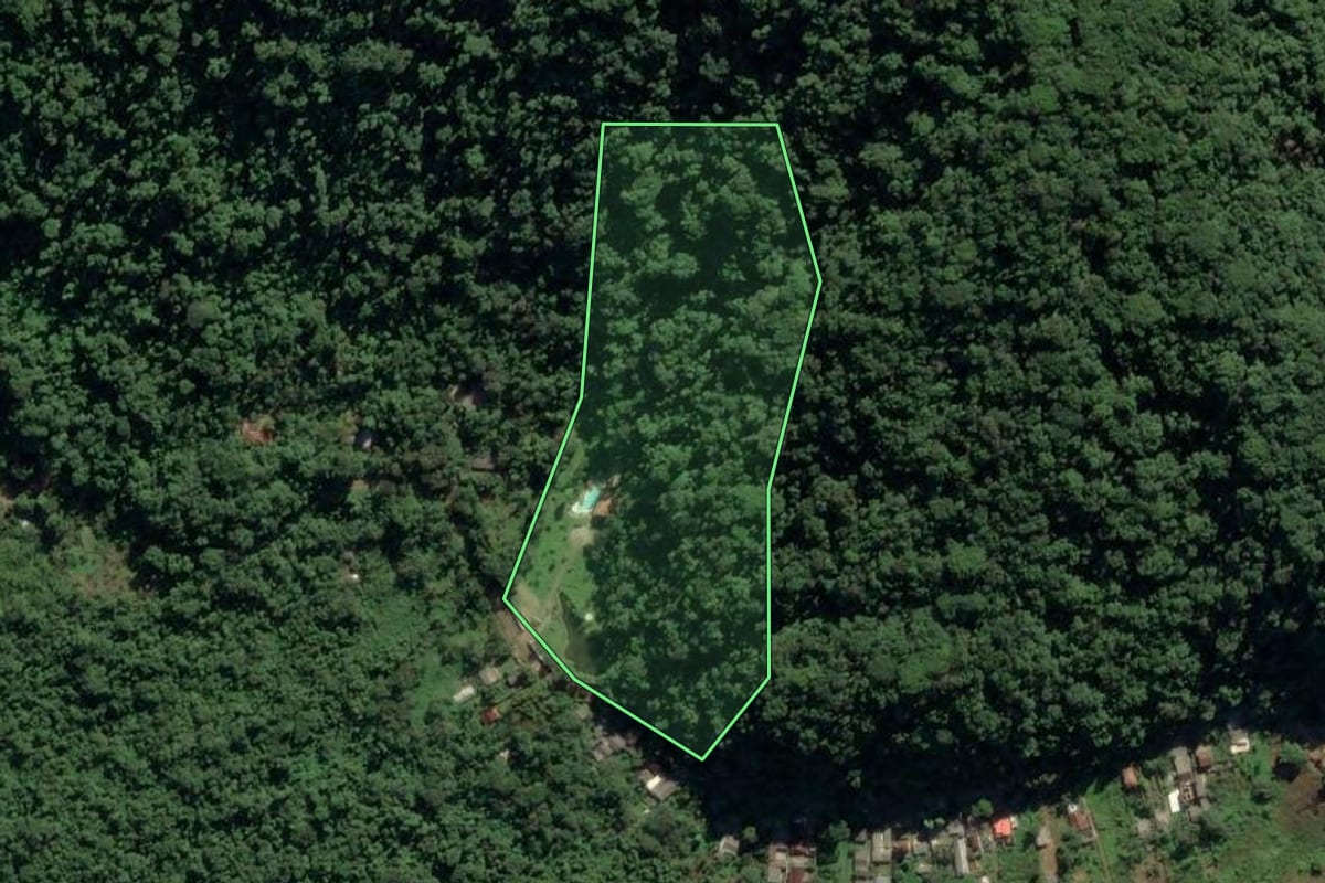 Imagem de satélite do imóvel rural em Ubatuba (SP), com o contorno declarado no CAR desenhado por cima.