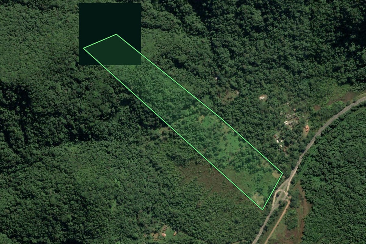 Imagem de satélite do imóvel rural em Ubatuba (SP), com o contorno declarado no CAR desenhado por cima.